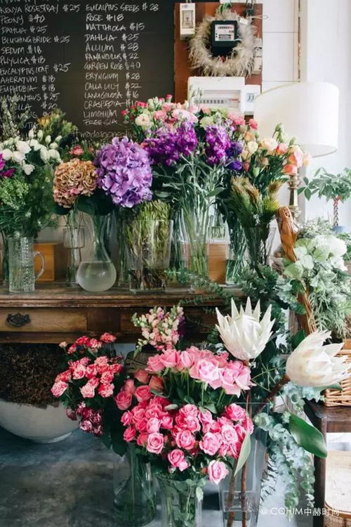 快速花藝課程畢業項目 苗木的商業化回歸