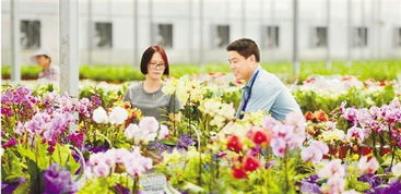 中秋，赴一場鮮花之約