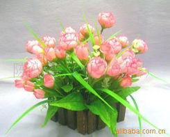 鮮花與蔬菜 家居花藝的別樣風情