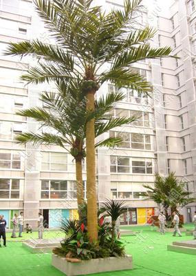 銀川高質量仿真椰子樹產品，為城市景觀增添熱帶風情